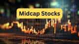 midcap stocks to buy expert picks Andhra Sugars Olectra Greentech and MRPL check target price and expected return