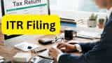 ITR Filing why taxpayers should file income tax return as soon as possible here expert advice in details 