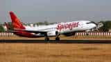 SpiceJet Profit Soars Sixfold to INR 119 Crore in Q4FY24 share give 81 percent return in one year