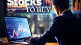 Stocks to BUY before budget 2024 Welspun living amber enterprises for 1 year term check target price