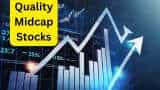 Midcap Stocks to BUY Welspun Living and Prestige Estates check expert targets
