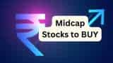 Zaggle Prepaid Ocean Services and Finolex Industries Midcap stocks to buy check target price and expected return