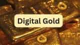 Digital Gold key reasons behind rising attraction in digital gold investments here survey details 