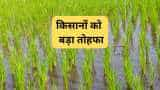 haryana govt giving rs 4000 per acer to farmers who sowing paddy through dsr