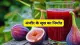 APEDA India exports first consignment of fig juice to Poland