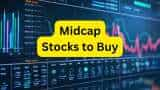 midcap stocks to buy expert buy call on zero debt stocks EMS Triveni Turbine CAMS check target price and expected return