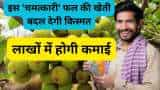 Anjeer ki Kheti farmers to earn rs 30 lakh through fig cultivation bihar govt giving rs 50000 subsidy check details