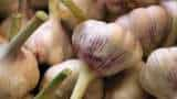 Gujarat Traders Allege Chinese Garlic Being Smuggled In India Despite Ban On Import