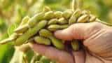 soybean procurement Madhya Pradesh government to buy soybean at MSP registration starts from 25 September check details