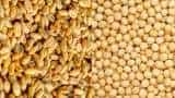 Government tightens wheat stock limits to check hoarding price rise extends duty-free import of yellow peas till December 2024