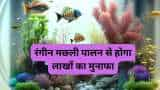 PM Matsya Sampada Yojana earn in lakhs from ragneen machhli farming get subsidy from govt Ornamental Fish