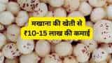 success story left job during Corona period and started Makhana farming now pradeep gupta earning 10-15 lakh rupees annually