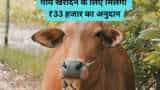 prakritik kheti Himachal farmers pursuing natural farming to get Rs 33000 to purchase cow