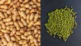 rajasthan govt to procure moong and peanuts on msp farmers registration starts from today check details