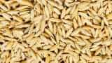 No space crunch in Punjab Centre dismisses concerns over paddy storage