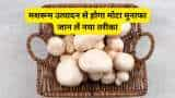 mushroom farming bihar womens producing mushrooms in plastic buckets know tips get subsidy