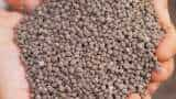 Triple superphosphate dap farmers to use tsp fertilizer instead of dap in rabi crops get more production