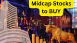 best Midcap Stocks to BUY CAMS Kaynes Technology Mastek Gujarat Fluoro SYRMA SGS CDSL check share price target stoploss details