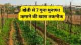 agri business idea farmers to get 7 times profit through Multilayer Farming technique up farmers earns rs 150000 per bigha 