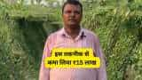 success story bihar farmer birendra kumar earns over rs 15 lakh through pointed gourd cultivation parwal ki kheti by drip irrigation