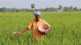 farming tip farmers to protect gehu ka mama in wheat follow these steps to prevent disease in potato and mustard