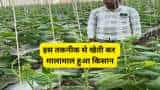 Success Story mp farmers earn over rs 37 lakh by net house farming know all details