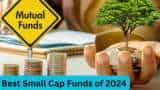 Best Small Cap Funds of 2024 Motilal Oswal Small Cap Fund gave most 47 percent return