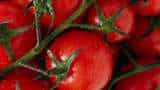 Tomatoes sold at Rs 2 per kg Odisha farmers in despair as prices fall drastically