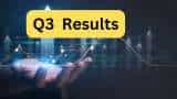 Q3 Results Vodafone Idea BLS International and Berger Paints reports q3 earnings check details