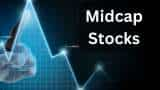 Best Midcap Stocks to BUY for long term Greaves Cotton know expert target