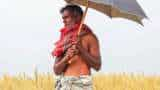 India to harvest bumper wheat crop this year Agriculture Minister Shivraj Singh Chouhan