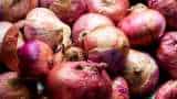 Onion Prices: लासलगांव APMC में प्याज की नीलामी शुरू, इस वजह से किसानों ने लगा दी थी रोक Day after farmers protest over drop in prices, onion auctions start at Asia biggest wholesale onion market Lasalgaon APMC