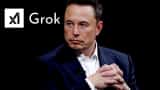 explainer why elon musk AI grok respond in slangs know all how grok process all about it