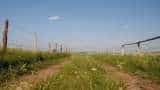 tarbandi yojana rajasthan government to gives 60 percent subsidy to 75000 farmers for agri field fencing check details