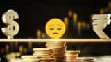 India taken maximum loan of america finance ministry latest report reveals this fact