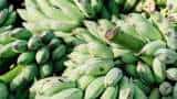 Small Cap Company PSP Projects Bags Multiple Order in Gujarat worth Rs 1764 Crore Rupees