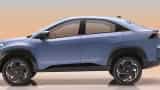 electric vehicle sales crossed 61 lakh units in the end of FY25 ola tata are the top companies