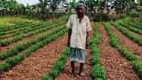 Small Cap Company PSP Projects Bags Multiple Order in Gujarat worth Rs 1764 Crore Rupees