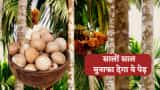 Small Cap Company PSP Projects Bags Multiple Order in Gujarat worth Rs 1764 Crore Rupees