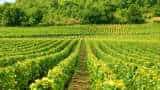 Small Cap Company PSP Projects Bags Multiple Order in Gujarat worth Rs 1764 Crore Rupees