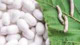 Small Cap Company PSP Projects Bags Multiple Order in Gujarat worth Rs 1764 Crore Rupees