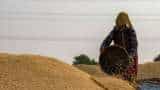 wheat procurement Over 4-2 lakh UP farmers register at purchase centres for 2025-26 season