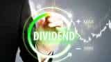 Realty Stocks BSE 500 Real Estate Company Sunteck Limited Declared 150 Percent Dividend