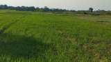 Small Cap Company PSP Projects Bags Multiple Order in Gujarat worth Rs 1764 Crore Rupees