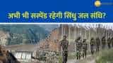 भारत और पाकिस्तान के बीच हुआ Ceasefire, जानिए क्या कहते हैं एक्सपर्ट
