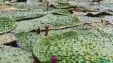 Small Cap Company PSP Projects Bags Multiple Order in Gujarat worth Rs 1764 Crore Rupees