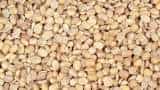 Small Cap Company PSP Projects Bags Multiple Order in Gujarat worth Rs 1764 Crore Rupees