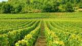 Small Cap Company PSP Projects Bags Multiple Order in Gujarat worth Rs 1764 Crore Rupees