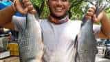 Drone use in Fisheries Drones to soon transport fish in difficult terrains Centre