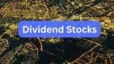 dividend stocks GE Vernova TD India Q4 Results net profit jumps over 181 percent declares 250 percent final dividend